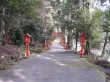 箱根神社の写真のサムネイル写真5