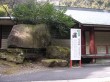 箱根神社の写真のサムネイル写真6