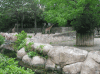 金沢動物園の写真のサムネイル写真1