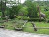 金沢動物園の写真のサムネイル写真13