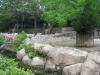 金沢動物園の写真のサムネイル写真14