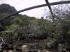よこはま動物園ズーラシアの写真のサムネイル写真11