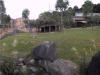 よこはま動物園ズーラシアの写真のサムネイル写真14