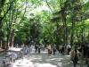 下賀茂神社の写真のサムネイル写真4