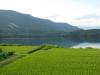 青木湖の写真のサムネイル写真4