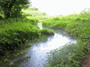 姫川源流自然探勝園の写真のサムネイル写真1