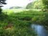 姫川源流自然探勝園の写真のサムネイル写真12