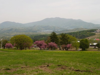 黒姫高原の写真4