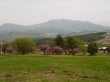 黒姫高原の写真のサムネイル写真4