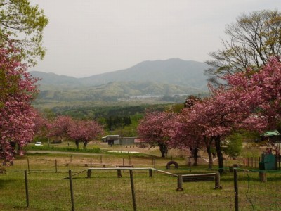 黒姫高原の写真22