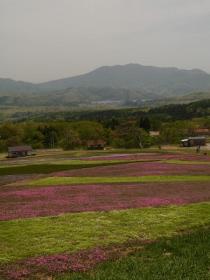 黒姫高原の写真16