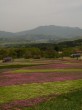 黒姫高原の写真のサムネイル写真16