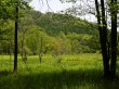居谷里湿原の写真のサムネイル写真9