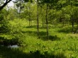居谷里湿原の写真のサムネイル写真18