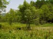 居谷里湿原の写真のサムネイル写真12