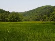 居谷里湿原の写真のサムネイル写真1