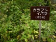 菅平湿原の写真のサムネイル写真5