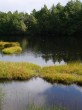 渋池の写真のサムネイル写真1