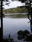 白駒の池の写真のサムネイル写真9