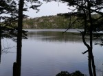 白駒の池の写真のサムネイル写真10
