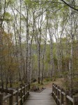 八千穂高原自然園の写真のサムネイル写真3
