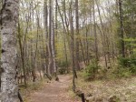 八千穂高原自然園の写真のサムネイル写真7