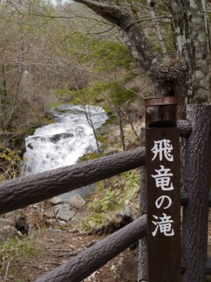 八千穂高原自然園の写真10