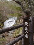 八千穂高原自然園の写真のサムネイル写真10