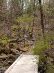 八千穂高原自然園の写真のサムネイル写真12