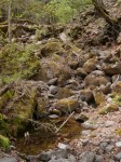 八千穂高原自然園の写真のサムネイル写真13