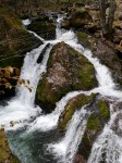 八千穂高原自然園の写真のサムネイル写真15