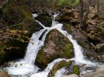 八千穂高原自然園の写真のサムネイル写真16