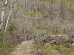 八千穂高原自然園の写真のサムネイル写真18