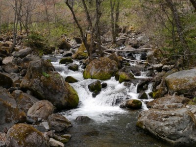 八千穂高原自然園の写真19