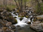 八千穂高原自然園の写真のサムネイル写真19