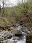 八千穂高原自然園の写真のサムネイル写真20