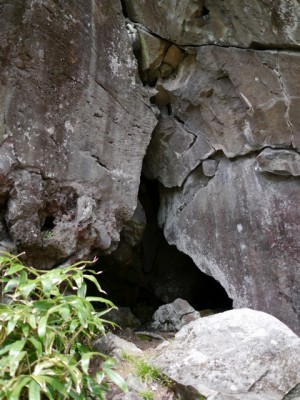 八千穂高原自然園の写真36