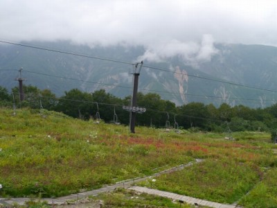 白馬五竜高山植物園の写真