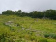 白馬五竜高山植物園の写真のサムネイル写真2