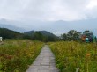 白馬五竜高山植物園の写真のサムネイル写真4