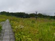 白馬五竜高山植物園の写真のサムネイル写真6