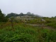 白馬五竜高山植物園の写真のサムネイル写真9