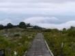 白馬五竜高山植物園の写真のサムネイル写真11