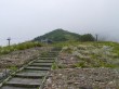白馬五竜高山植物園の写真のサムネイル写真17