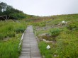 白馬五竜高山植物園の写真のサムネイル写真20