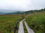 霧ヶ峯湿原植物群落の写真のサムネイル写真18