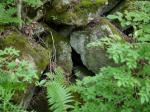 五味池破風高原自然園の写真のサムネイル写真23