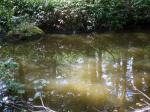 五味池破風高原自然園の写真のサムネイル写真30