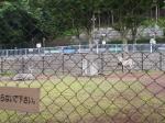 茶臼山動物園の写真のサムネイル写真16
