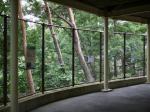 茶臼山動物園の写真のサムネイル写真22